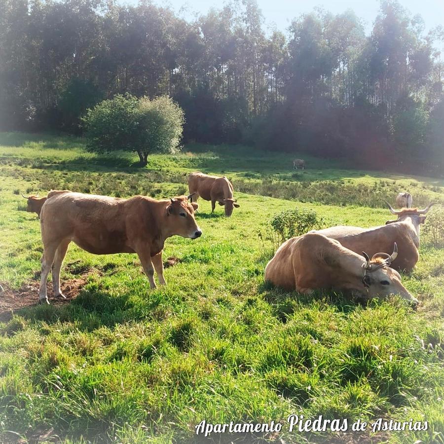 דירות ביידרס בלנקס Piedras De Asturias מראה חיצוני תמונה